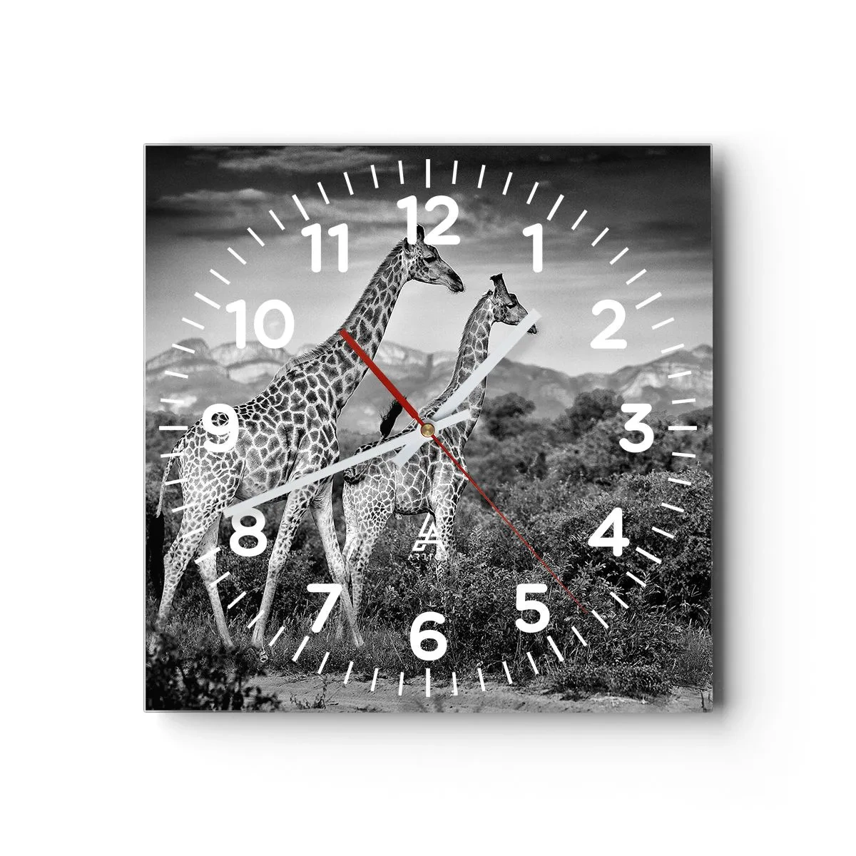 Reloj de pared - Reloj de vidrio - La clase alta de África - 30x30 cm