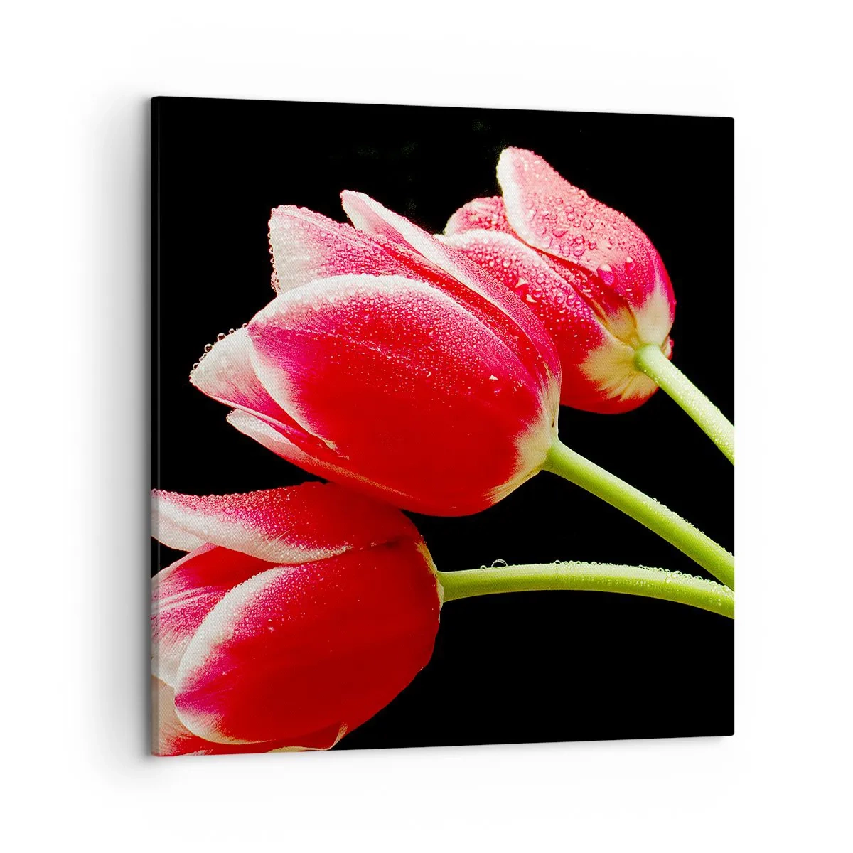 Cuadro sobre lienzo - Impresión de Imagen - Promesa de amor puro - 50x50 cm