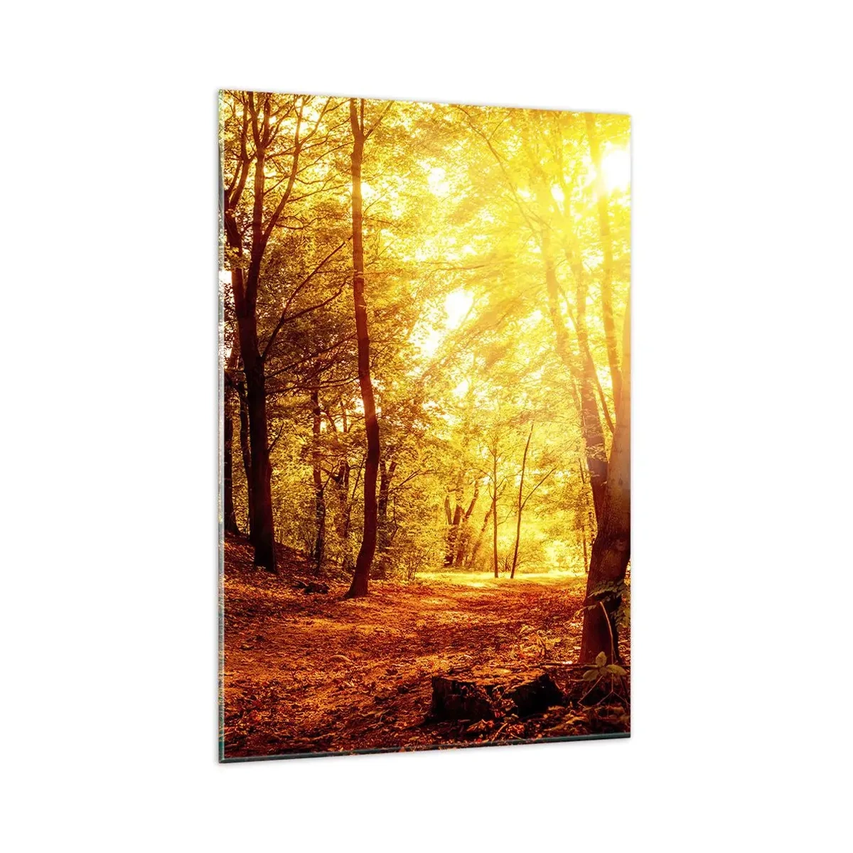 Cuadro sobre vidrio - Impresiones sobre Vidrio - Claro de otoño bajo la luz dorada del sol con un sendero forestal - 80x120cm - Hacia un claro de oro - Decoración de pared moderna para salón y dormitorio ARTTOR