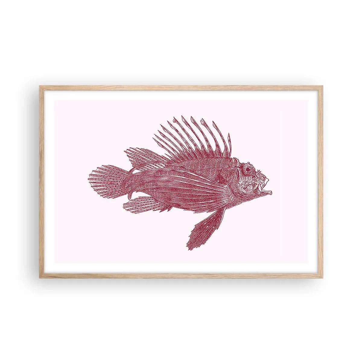Póster en marco roble claro - Un habitante de aguas exóticas - 91x61 cm