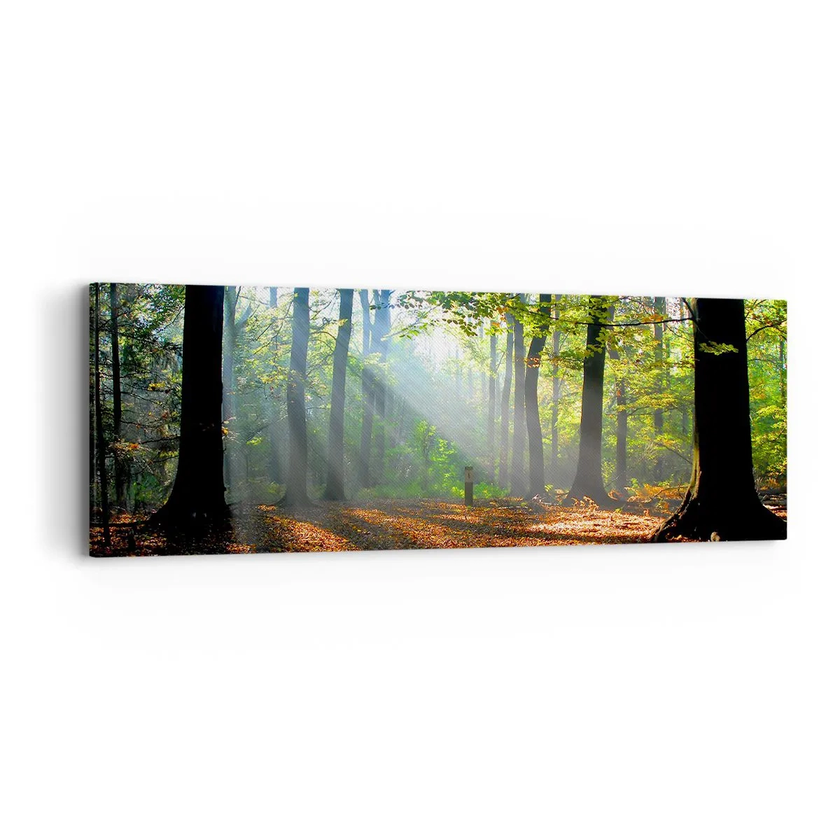 Cuadro sobre lienzo - Impresión de Imagen - Resplandores y sombras - 90x30 cm