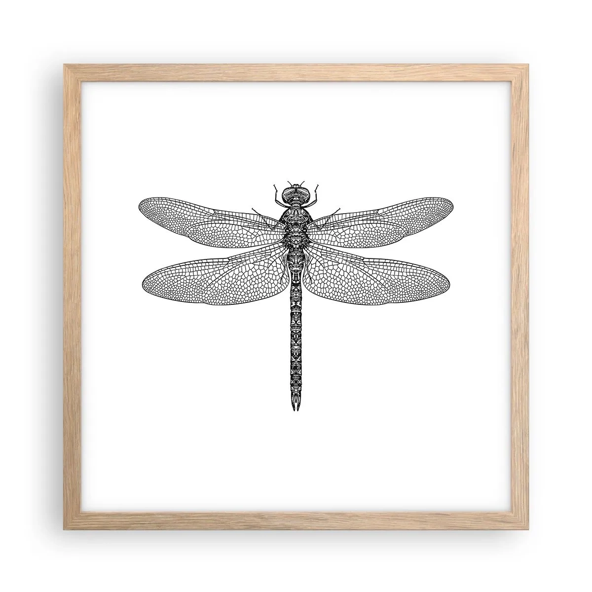 Póster en marco roble claro - Precisión de la naturaleza - 40x40 cm