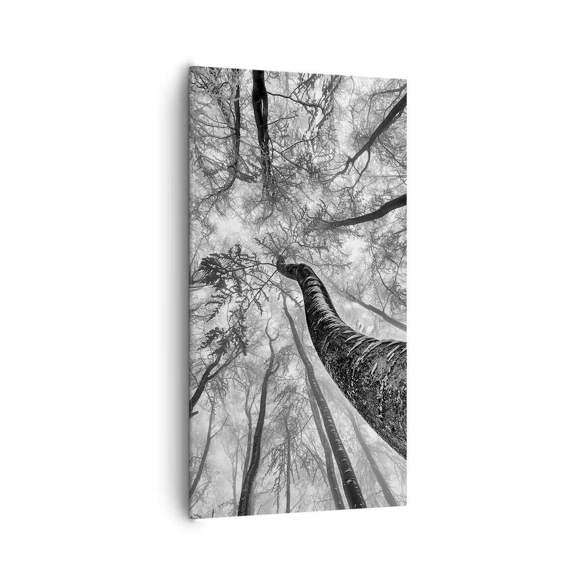 Cuadro sobre lienzo - Impresión de Imagen - Carrera hacia la luz - 65x120 cm