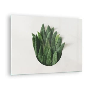 Cuadro sobre vidrio - Impresiones sobre Vidrio - Hojas verdes dispuestas en forma de jarrón sobre un fondo blanco. - 70x50cm - Curiosidad desenfrenada - Decoración de pared moderna para salón y dormitorio ARTTOR