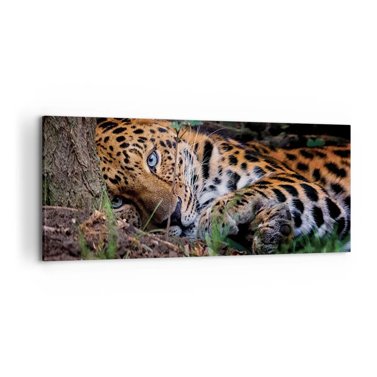 Cuadro sobre lienzo - Impresión de Imagen - Un leopardo tumbado a la sombra de los árboles. - 120x50cm - Confía en mí - Decoración de pared moderna para salón y dormitorio ARTTOR