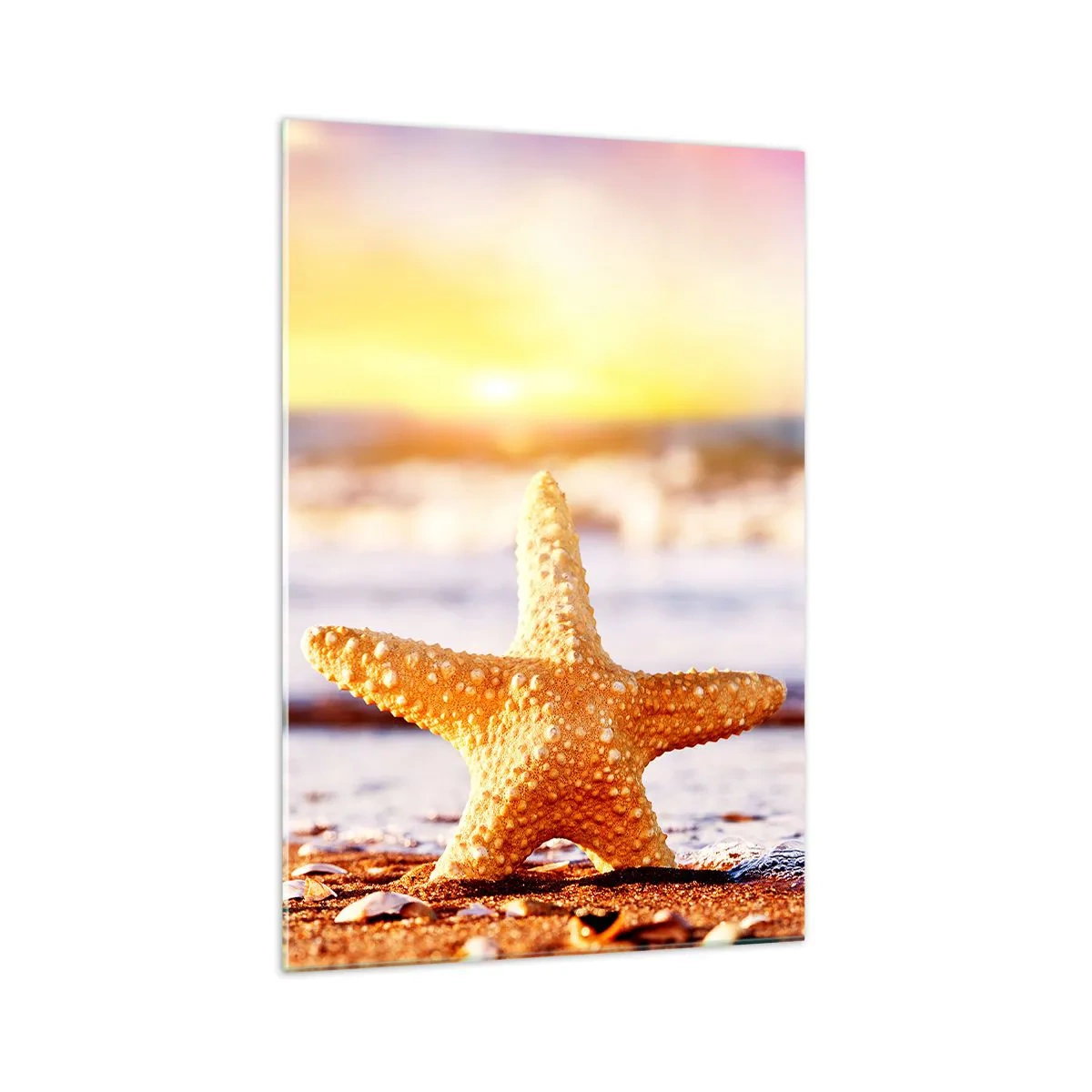 Cuadro sobre vidrio - Impresiones sobre Vidrio - Una estrella de mar en una playa de arena bajo el resplandor del sol poniente. - 70x100cm - Regalo del mar - Decoración de pared moderna para salón y dormitorio ARTTOR