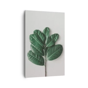 Cuadro sobre lienzo - Impresión de Imagen - Una ramita de hojas verdes sobre un fondo claro. - 80x120cm - El dibujo de la propia naturaleza - Decoración de pared moderna para salón y dormitorio ARTTOR