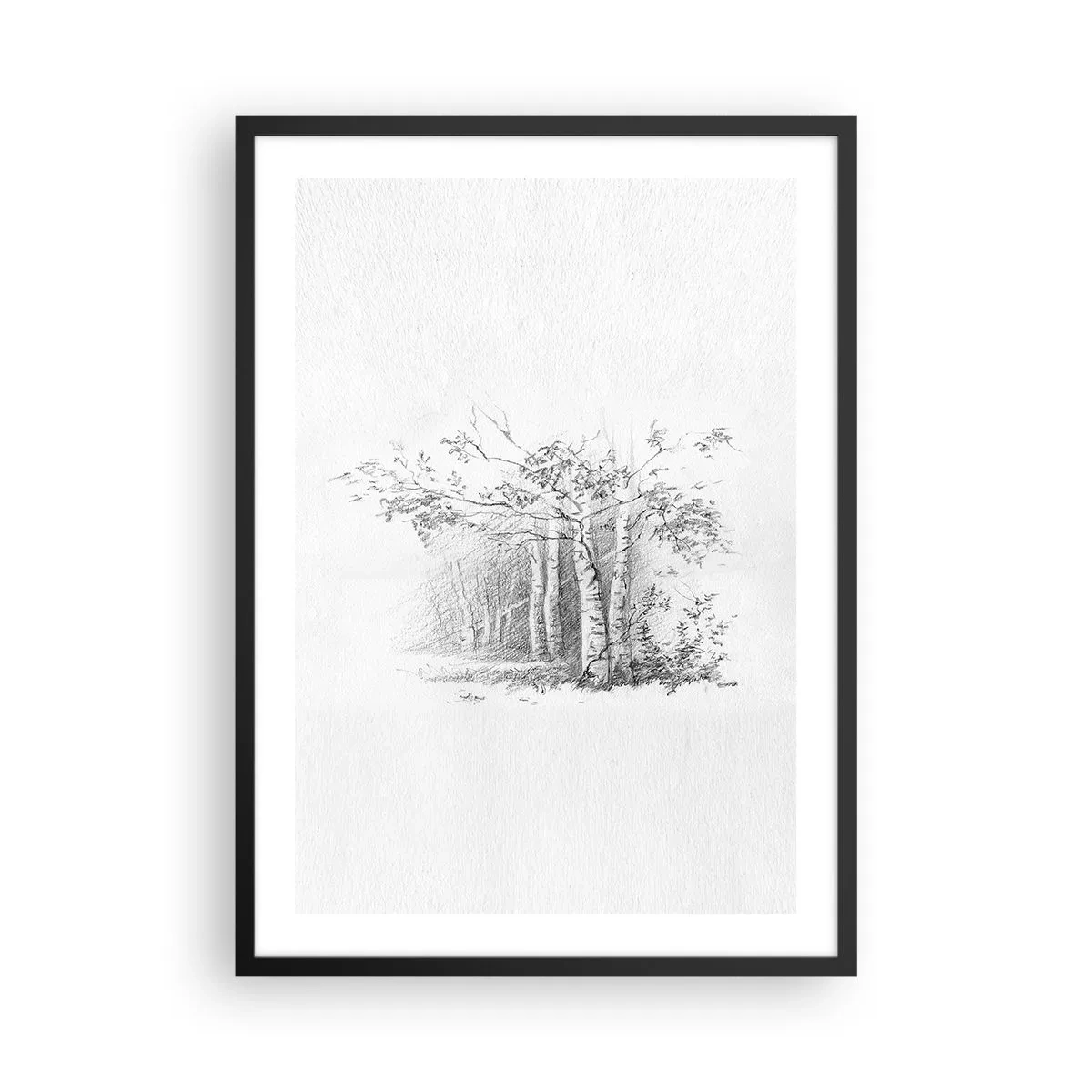 Póster en marco negro - Un boceto de un bosque de abedules en sutiles tonos blanco y negro. - 50x70cm - La luz de un bosque de abedules - Decoración de pared moderna para salón y dormitorio ARTTOR