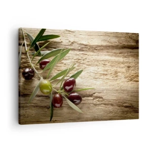 Cuadro sobre lienzo - Impresión de Imagen - Rama de olivo con fruta sobre un fondo de madera envejecida - 70x50cm - Directamente de la naturaleza - Decoración de pared moderna para salón y dormitorio ARTTOR