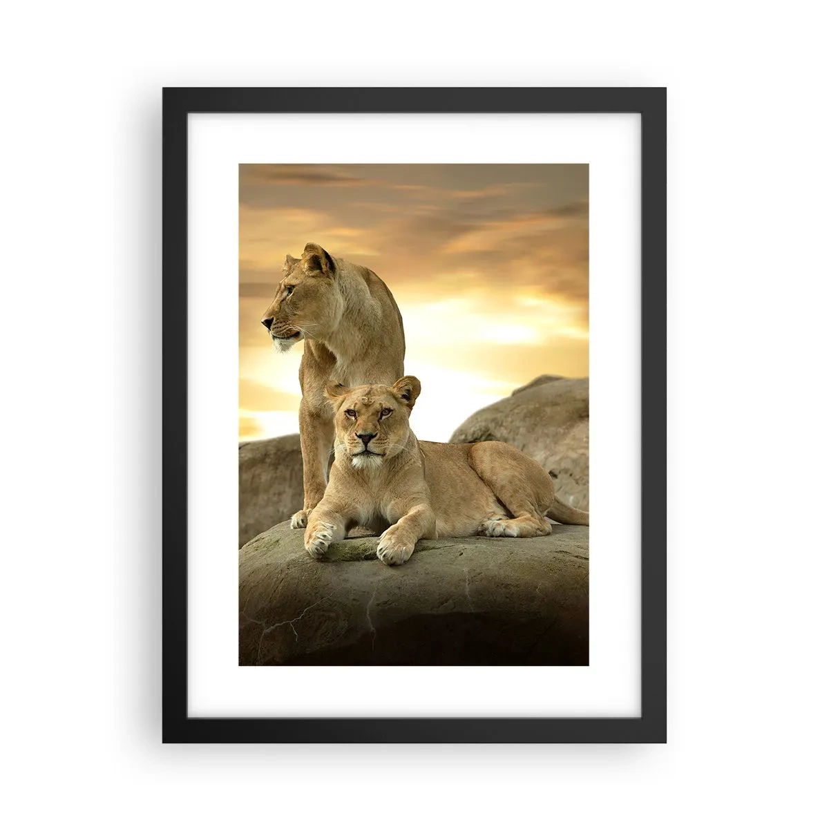 Póster en marco negro - Majestuosidad real - 30x40 cm