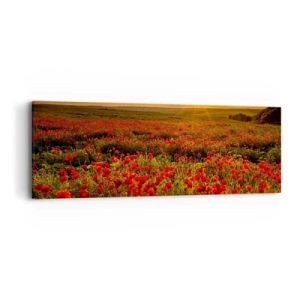 Cuadro sobre lienzo - Impresión de Imagen - Entre los campos de flores - 90x30 cm