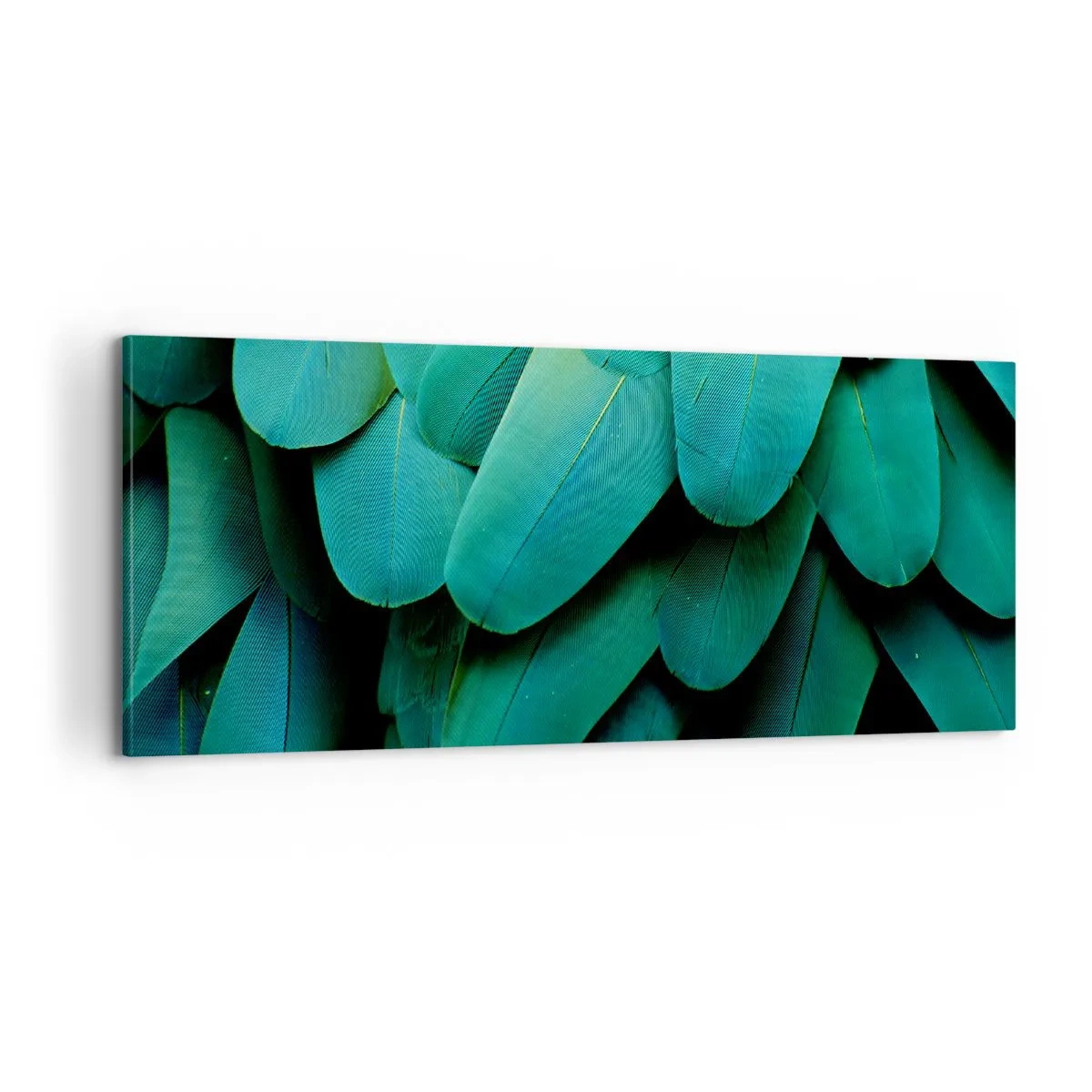 Cuadro sobre lienzo - Impresión de Imagen - La precisión de la naturaleza - 100x40 cm