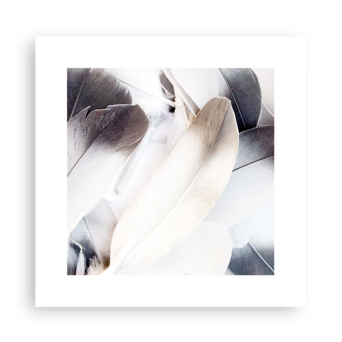 Póster - Casi angelical - 30x30 cm