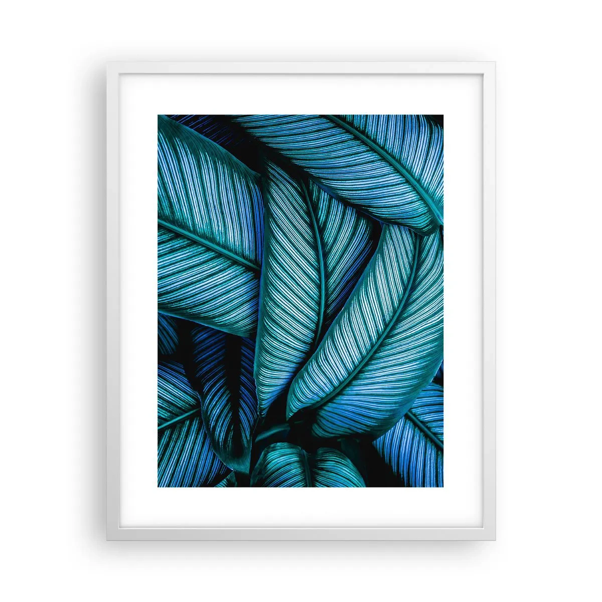 Póster en marco blanco - Líneas de vida - 40x50 cm