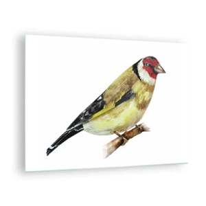 Cuadro sobre vidrio - Impresiones sobre Vidrio - Pájaro de acuarela en una rama en colores delicados. - 70x50cm - Retrato de pájaro - Decoración de pared moderna para salón y dormitorio ARTTOR
