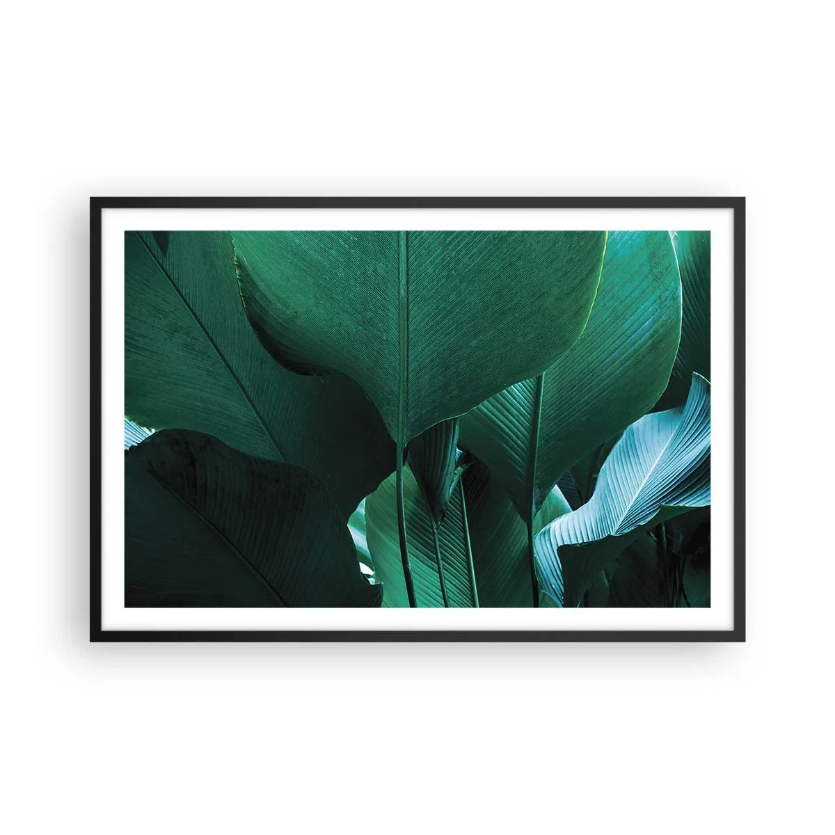 Póster en marco negro - De cara a la luz - 91x61 cm