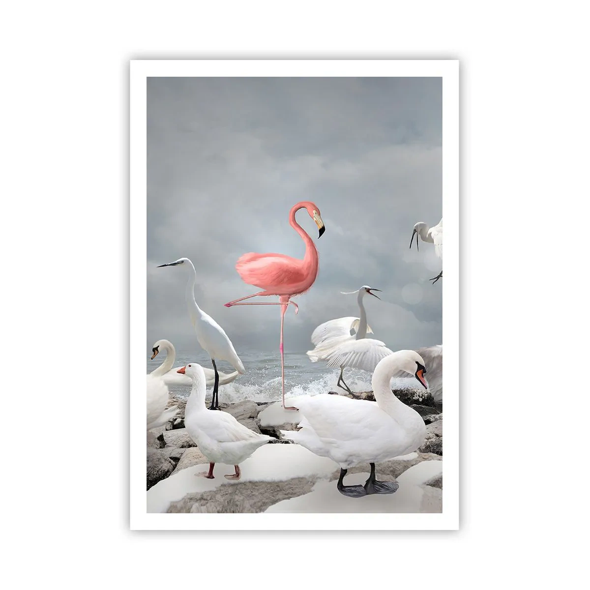 Póster - ¿De dónde vengo? - 70x100 cm