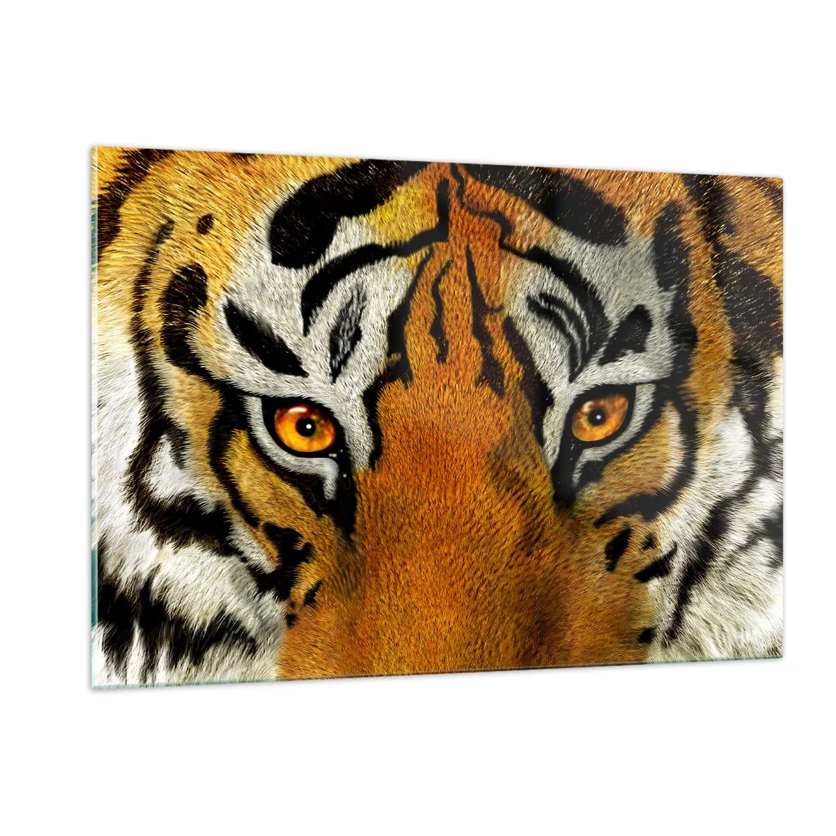 Cuadro sobre vidrio - Impresiones sobre Vidrio - Primer plano de la intensa mirada del tigre. - 120x80cm - Amenazante y hermoso - Decoración de pared moderna para salón y dormitorio ARTTOR