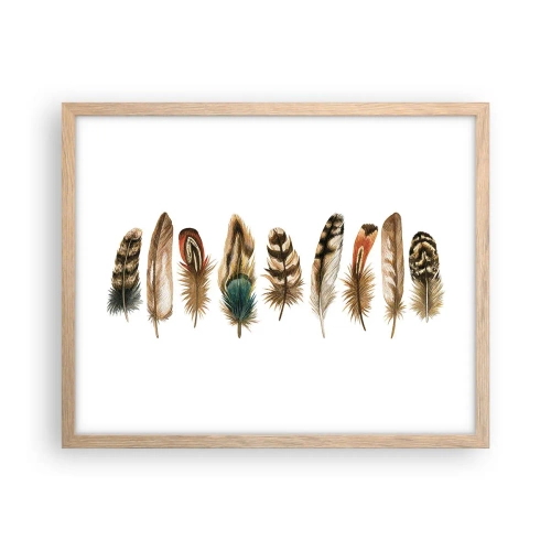 Póster en marco roble claro - Estudio de plumas - 50x40 cm