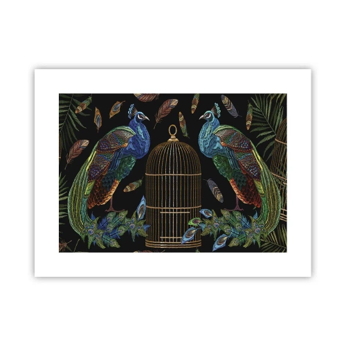 Póster - Con plumajes reales - 40x30 cm