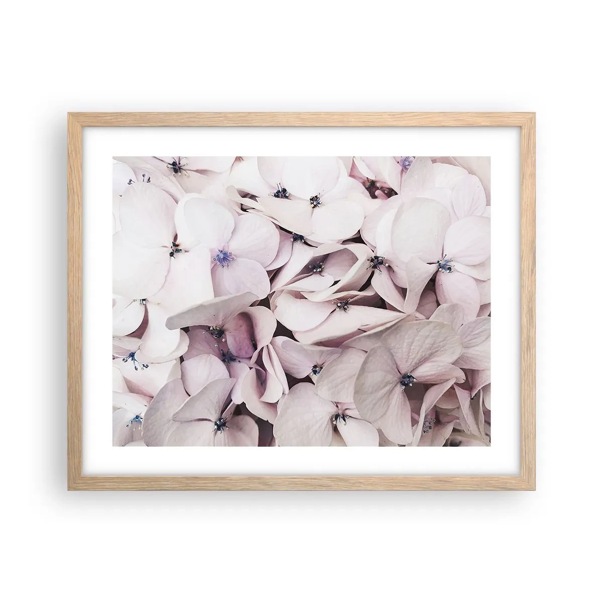 Póster en marco roble claro - En un torrente de flores - 50x40 cm