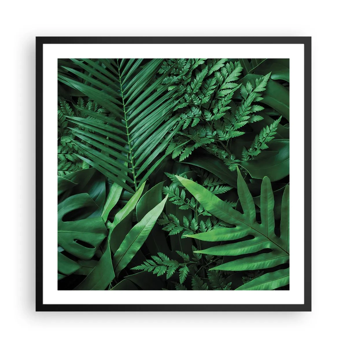 Póster en marco negro - Abrazo verde - 60x60 cm