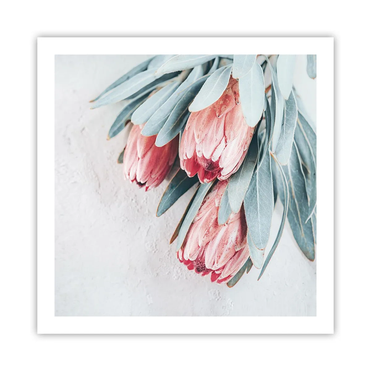 Póster - Avergonzada de su propia belleza - 60x60 cm