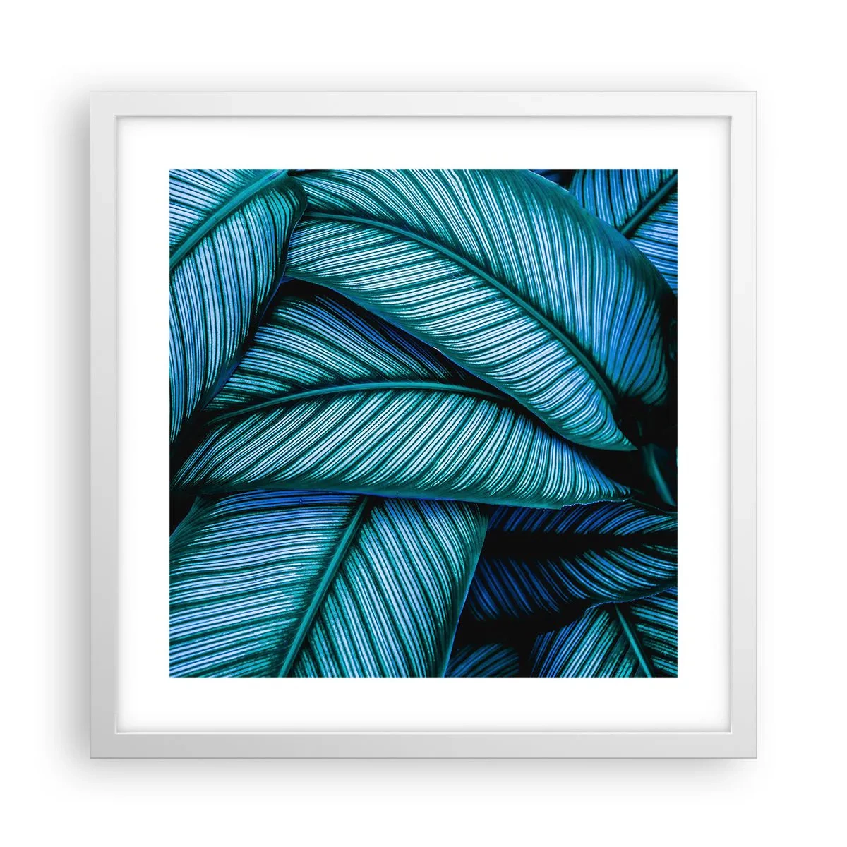 Póster en marco blanco - Líneas de vida - 40x40 cm