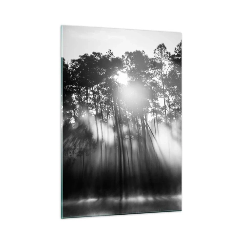 Cuadro sobre vidrio - Impresiones sobre Vidrio - Árboles en blanco y negro en un bosque con rayos de sol en la bruma. - 50x70cm - Sol imparable - Decoración de pared moderna para salón y dormitorio ARTTOR