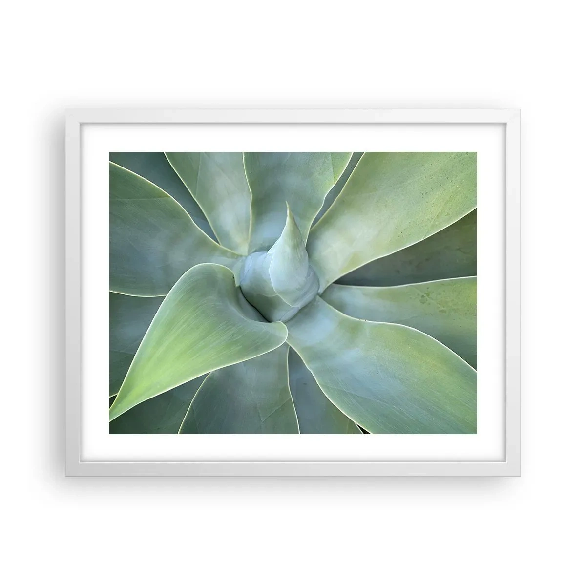 Póster en marco blanco - El nacimiento del verde - 50x40 cm