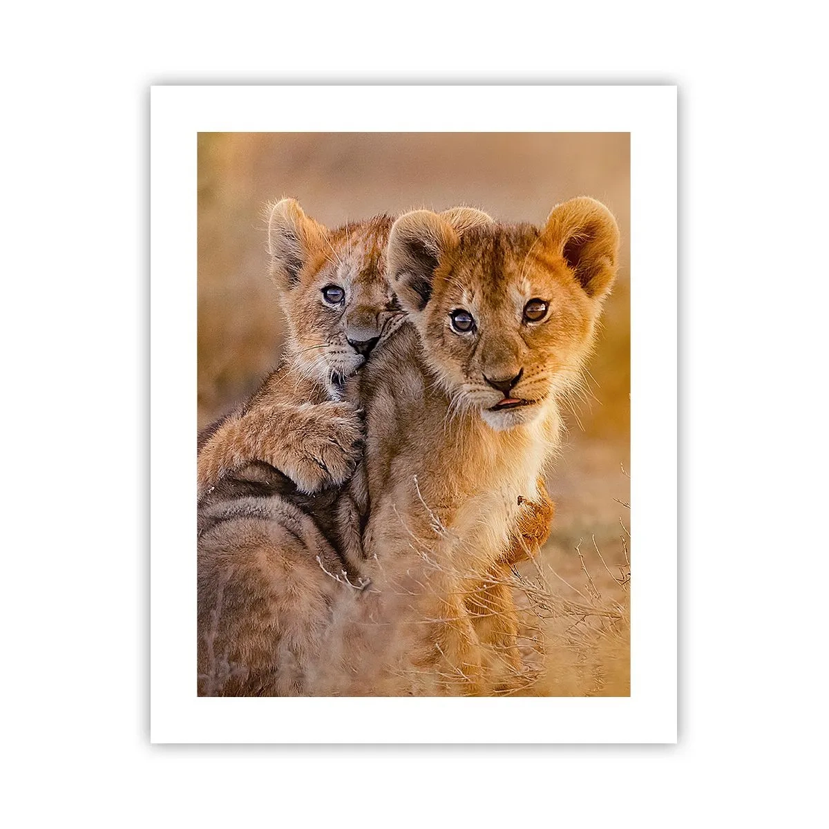 Póster - ¡No molestar! Nos estamos divirtiendo - 40x50 cm