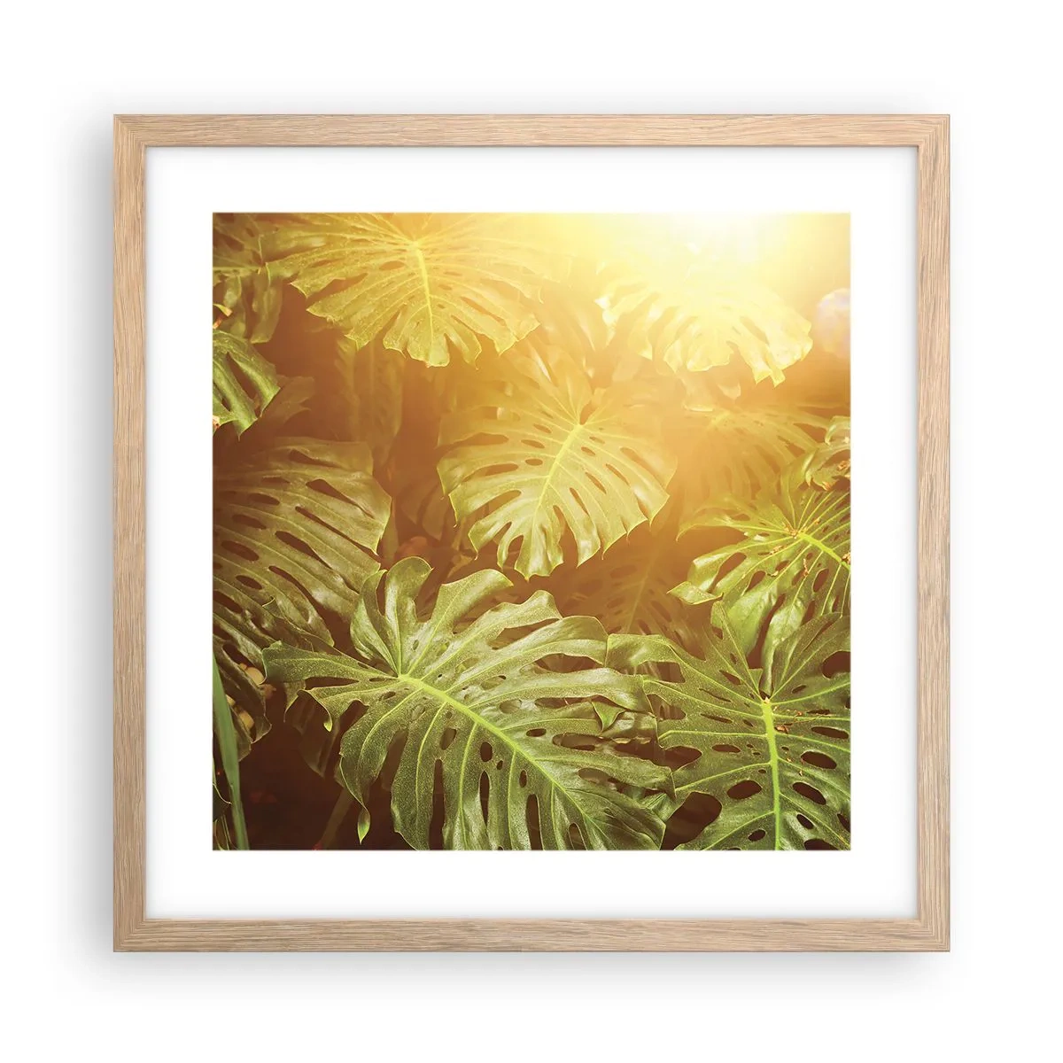 Póster en marco roble claro - Hacia el verdor... - 40x40 cm