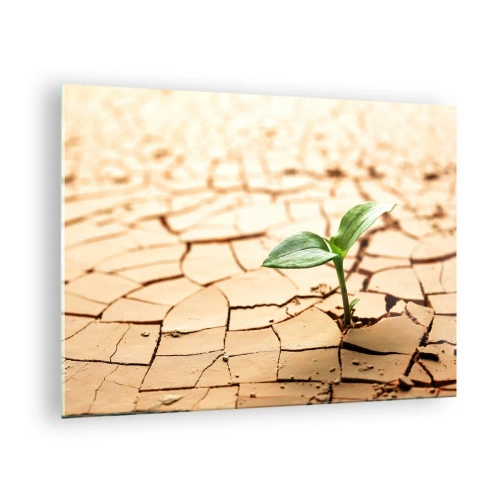 Cuadro sobre vidrio - Impresiones sobre Vidrio - Una planta joven que crece en tierra seca y agrietada. - 70x50cm - El poder indomable de la vida - Decoración de pared moderna para salón y dormitorio ARTTOR