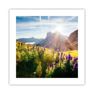 Póster - La vida secreta de las hierbas - 40x40 cm