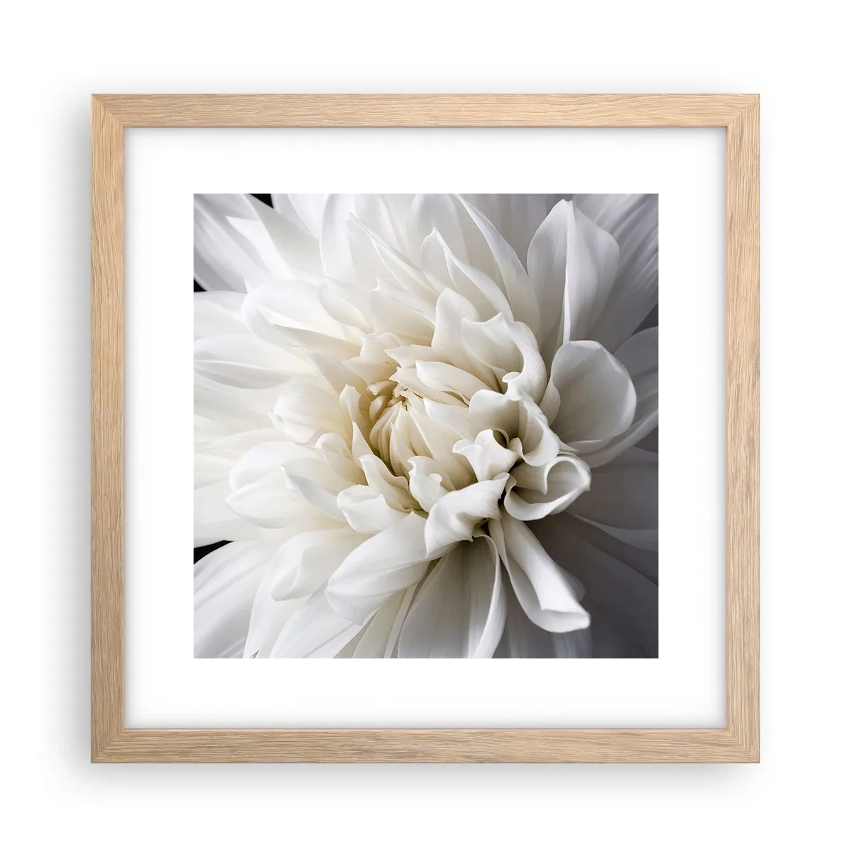 Póster en marco roble claro - La novia de la mañana - 30x30 cm