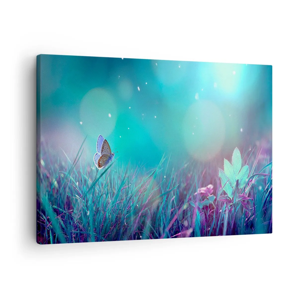 Cuadro sobre lienzo - Impresión de Imagen - Una mariposa sobre la hierba a la luz de reflejos borrosos. - 70x50cm - La vida secreta de un prado - Decoración de pared moderna para salón y dormitorio ARTTOR