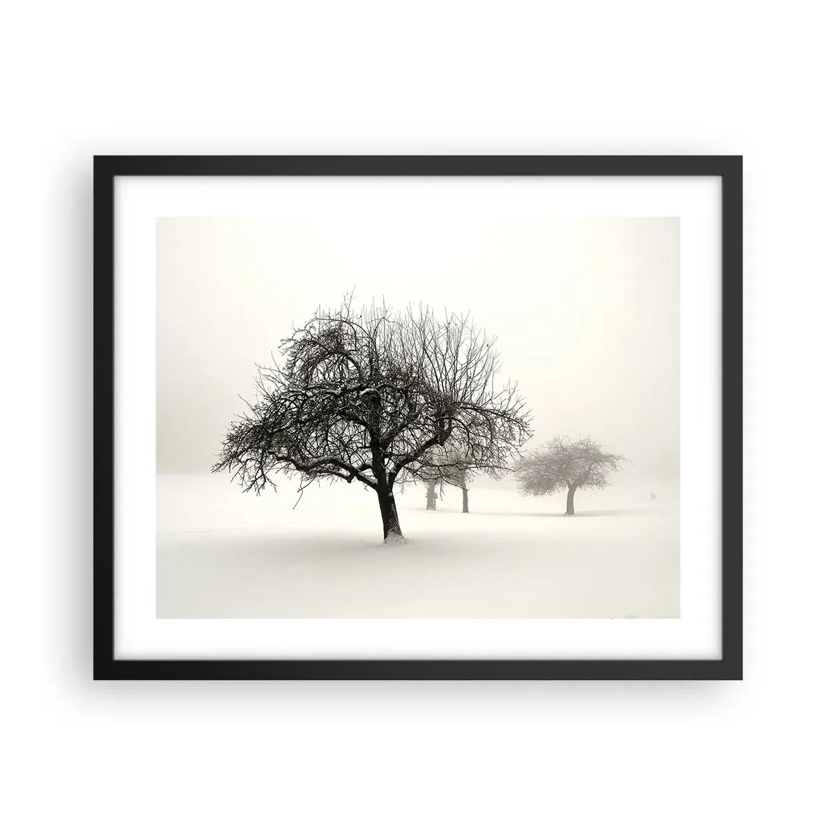 Póster en marco negro - Sueño de invierno - 50x40 cm