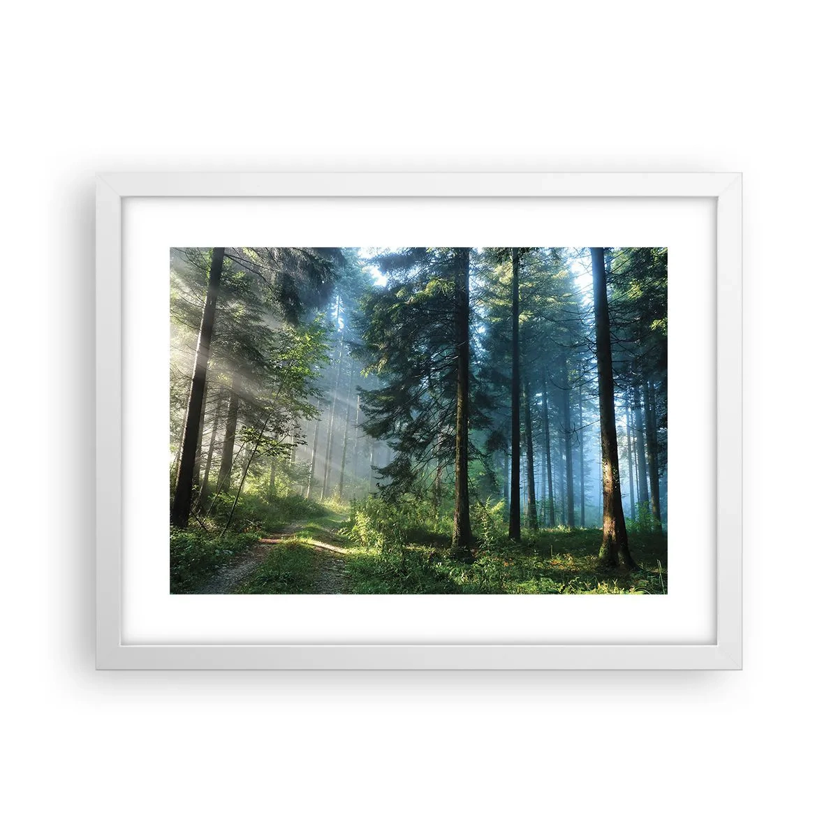 Póster en marco blanco - Radiante por la mañana - 40x30 cm