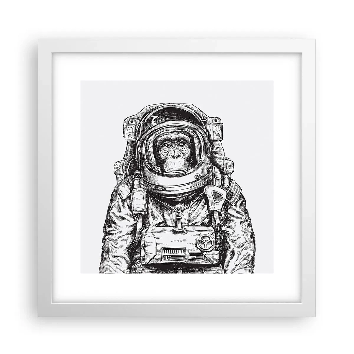 Póster en marco blanco - Evolución alternativa - 30x30 cm