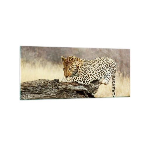 Cuadro sobre vidrio - Impresiones sobre Vidrio - Un leopardo descansando en el tronco de un árbol en la sabana. - 120x50cm - Voy por mi cuenta - Decoración de pared moderna para salón y dormitorio ARTTOR
