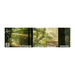 Muestra de fotomural Premium Canvas - Un momento en el bosque - Paisaje, Bosque, Naturaleza - 100x30 cm