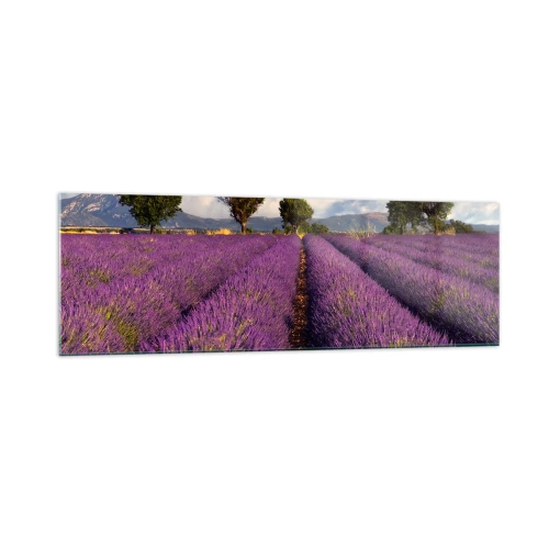 Cuadro sobre vidrio - Impresiones sobre Vidrio - Un campo de lavanda con árboles con el telón de fondo de montañas y cielo. - 160x50cm - Campos de lavanda - Decoración de pared moderna para salón y dormitorio ARTTOR