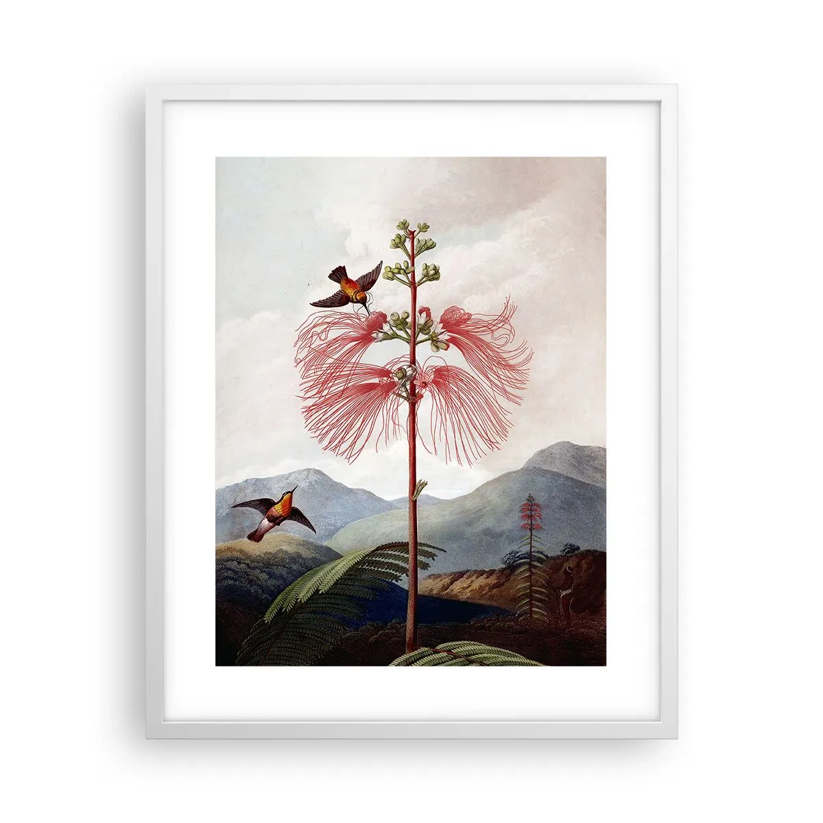 Póster en marco blanco - En un paraíso tropical - 40x50 cm