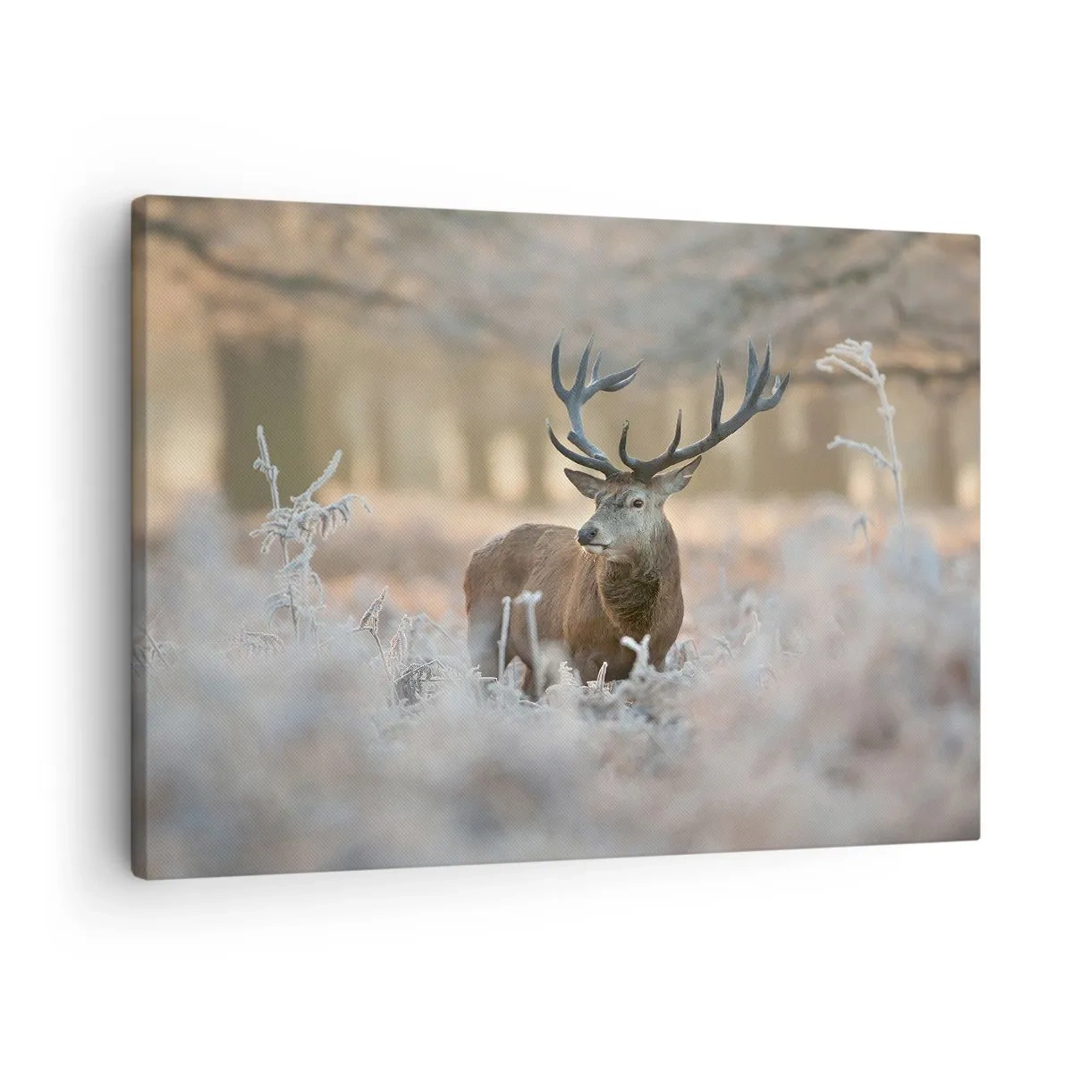 Cuadro sobre lienzo - Impresión de Imagen - Un ciervo en un claro helado en un bosque invernal con colores sutiles. - 70x50cm - Una mañana fresca - Decoración de pared moderna para salón y dormitorio ARTTOR