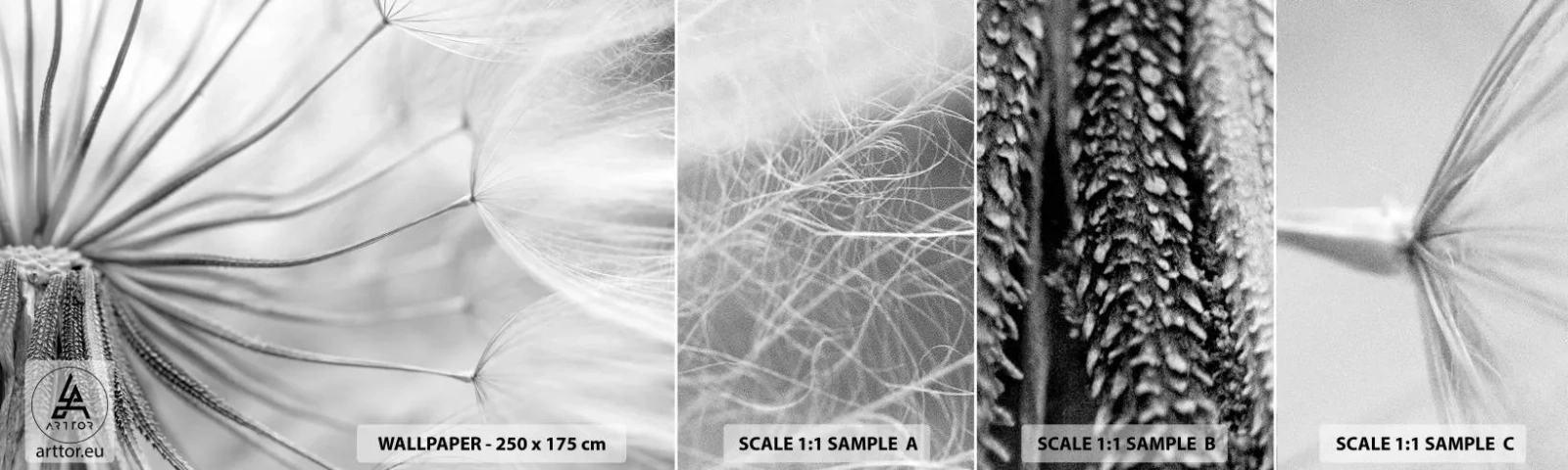 Muestra De Fotomural Standard Eco - Caricias del viento - Minimalismo, Delicado, Flor - 100x30 cm