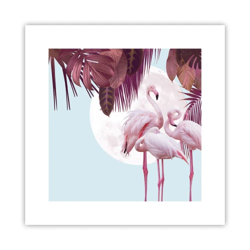 Póster - La grandeza de las aves - 30x30 cm