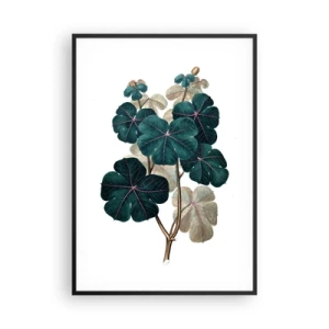 Póster en marco negro - De un viejo herbario - 70x100 cm