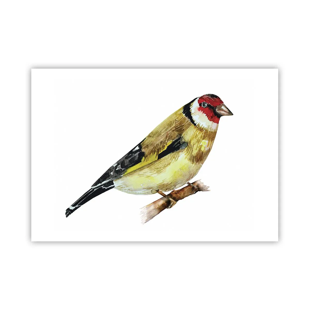 Póster - Un pájaro con la cabeza roja en una rama. - 100x70cm - Retrato de pájaro - Decoración de pared moderna para salón y dormitorio ARTTOR