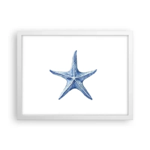 Póster en marco blanco - Estrella de mar - 40x30 cm