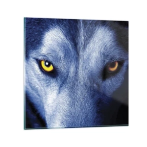 Cuadro sobre vidrio - Impresiones sobre Vidrio - La mirada hipnótica - 30x30 cm